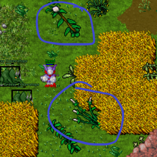 File:Drzewka-do-fibera.png