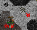 Thumbnail for version as of 14:35, 7 December 2025