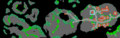Thumbnail for version as of 11:56, 6 December 2025